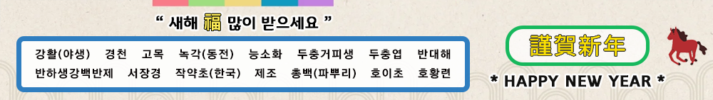 한약마을